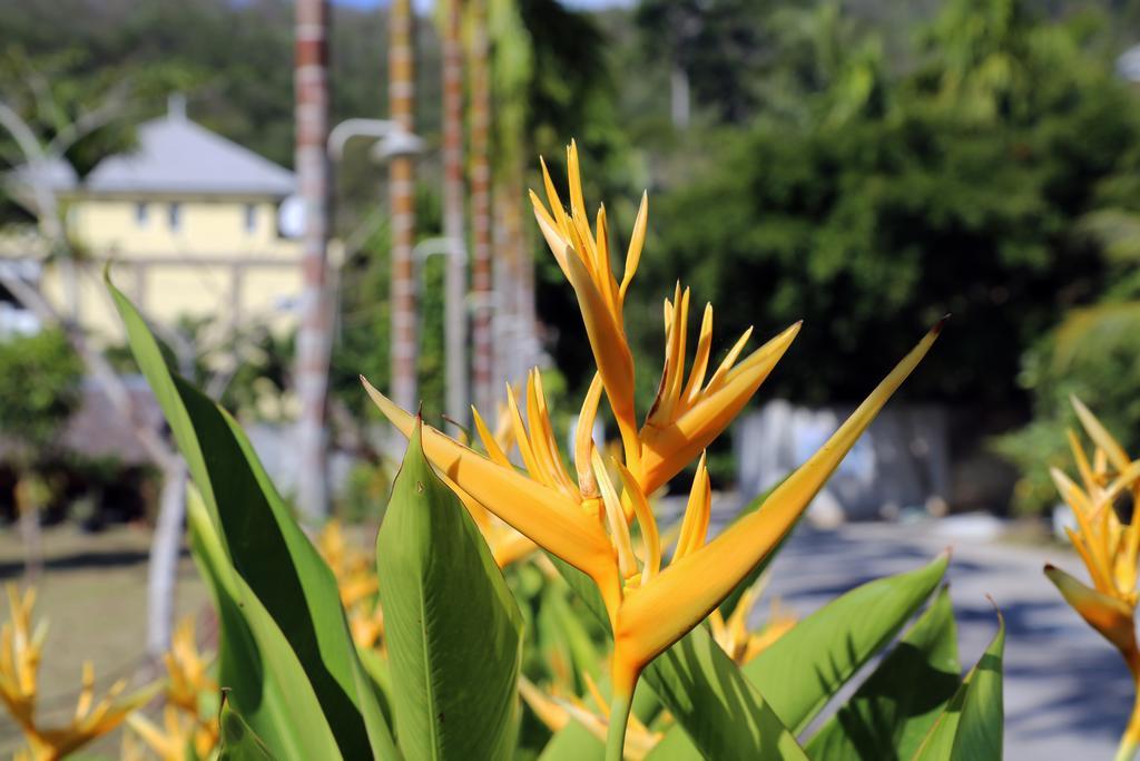 Naka Resort Kamala Beach Zewnętrze zdjęcie
